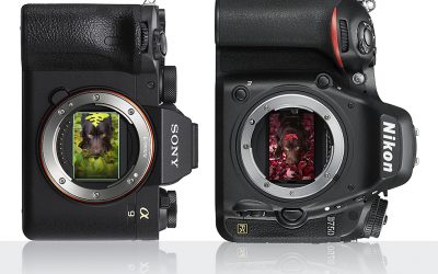 Sony A9II Vs Nikon D750