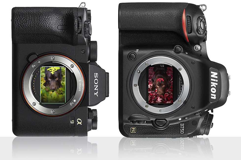 Sony A9II Vs Nikon D750