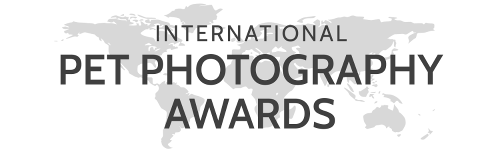 IPPA International Pet Photography Awards — riconoscimenti Mattia Gorno fotografo cinofilo