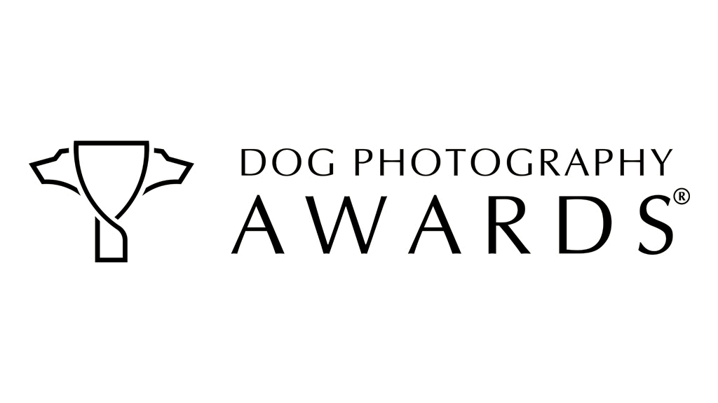 Dog Photography Awards — Menzione d'onore Mattia Gorno fotografo cinofilo Bologna